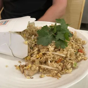 Fried Rice with Chicken ~ He Liked it