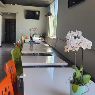 interior, sushi and sashimi