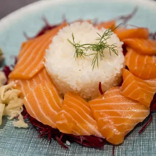 Salmon Sashimi