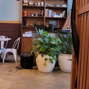 Another interior shot