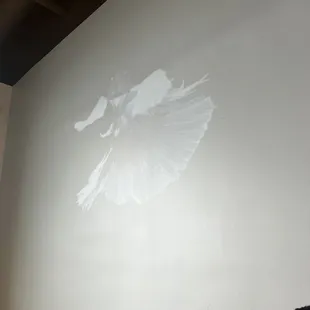 Koi fish projection