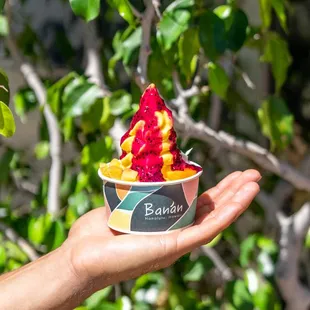 Uncle&apos;s Mango Creation
