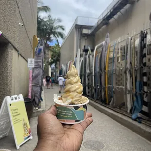 Frozen Banana