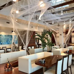 Nice deco....spacious and bright interior