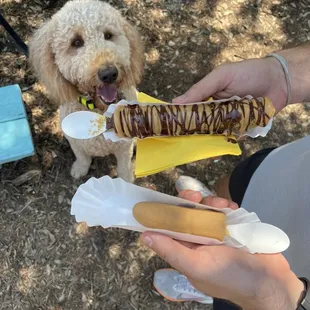 Peanut Butter Pie Banana, doggy banana