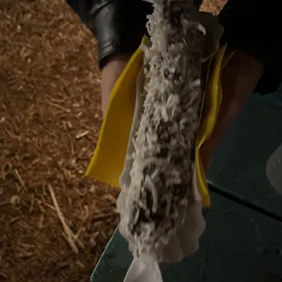 Vegan chocolate and coconut