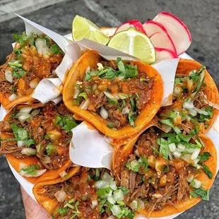 Birria tacos