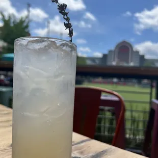 Lavender Paloma