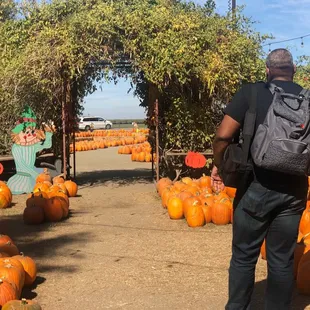 Looking northward towards Taft Hwy.
