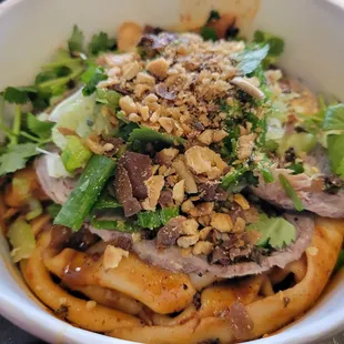 Szechuan Garlic Dry Handpulled Noodles with Beef