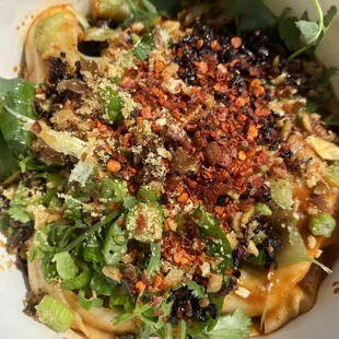 Spice Szechuan Dry Noodles