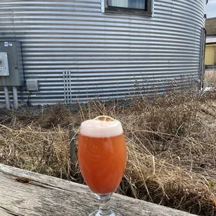 Lime Orange Hibiscus