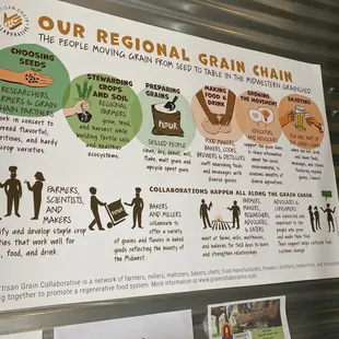 Explains how their grain moves from seed to table (or glass!)...