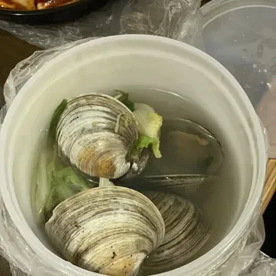 Clam Soup