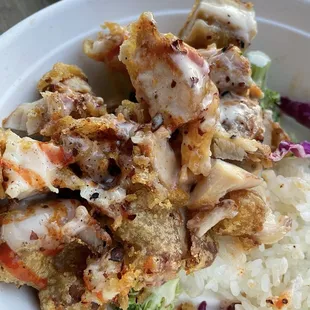 Crispy Chicken Dumplings