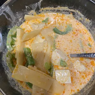 My &quot;chicken&quot; red curry with 1 small piece of chicken and a ton of tofu
