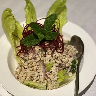Larb (Minced chicken)