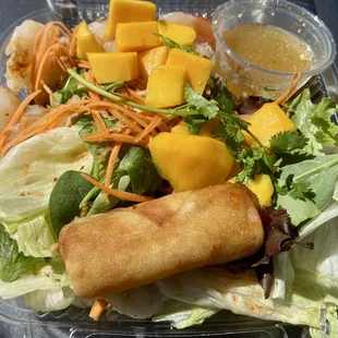 Zims Mango Salad