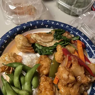 Edamame, crab rangoon, potstickers and cashew chicken with rice.