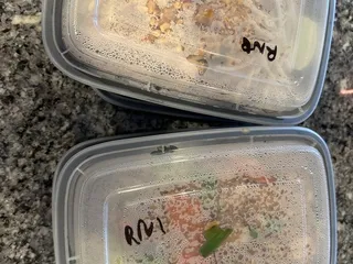 Siam Fusion