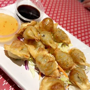 Fried Potstickers