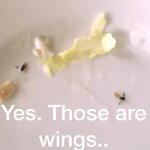 These bugs were in my rice and I left out the two OTHER bugs my son found in his won ton soup.