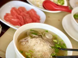 Viet Fortune