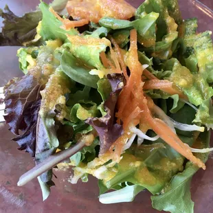 a plate of salad with carrots and lettuce