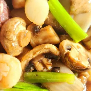 RICE PLATE, MUSHROOMS  &amp; SCALLOPS