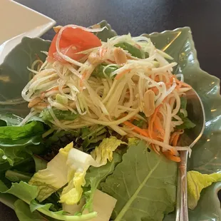 Papaya Salad