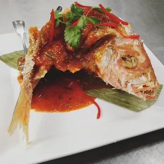 Red Snapper