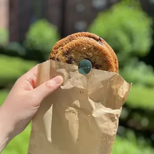 Chocolate chip cookie