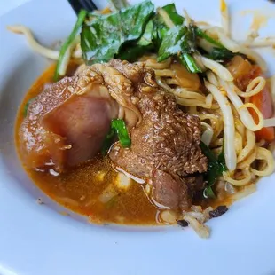 Beef Stew Egg Noodle