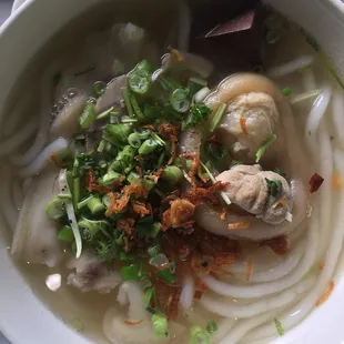Chunky Udon Noodles