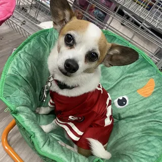 Cynthia V.