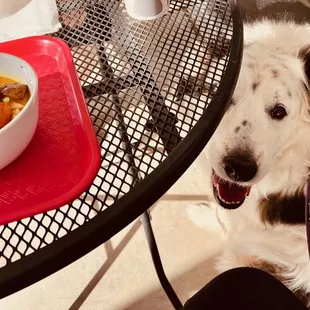 curry chicken with rice