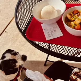 chicken curry with rice