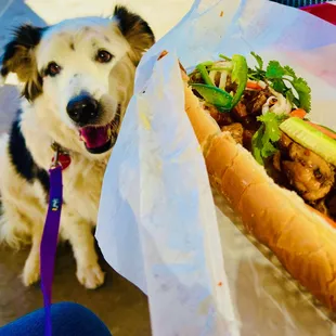 to go - chicken banh mi