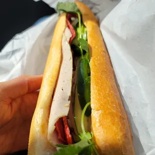 a person holding a sandwich