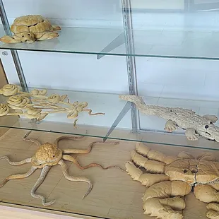 Creative bread designs