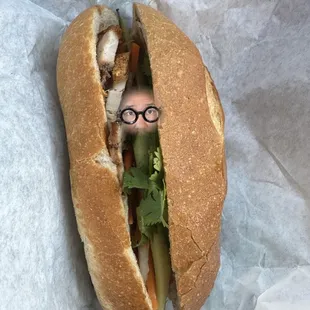 a person in a sandwich