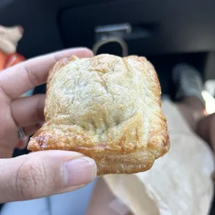 Meat Pork Pastry Special