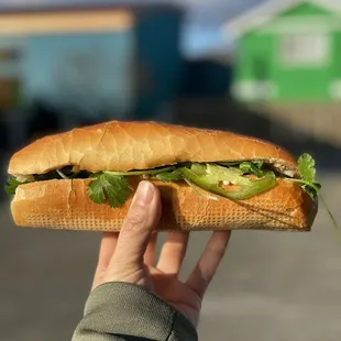 Roasted Pork Banh Mi