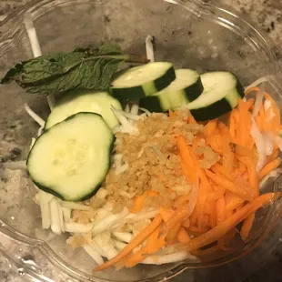 Green Shredded Papaya Salad