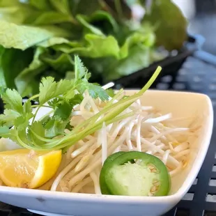 noodles, noodle dish, food, ramen, noodle soup, ramen and noodles