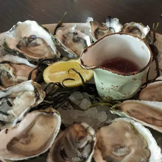 Oysters