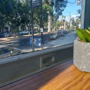 Aug 2024: Looking towards SJSU from the main dining tables