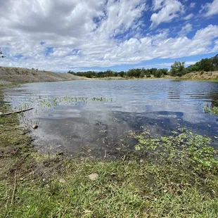 Picture perfect Sunday