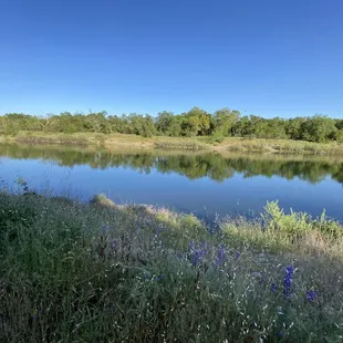 Amazing views of the American River