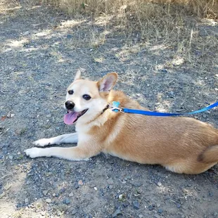 Getting some rest in the shade
